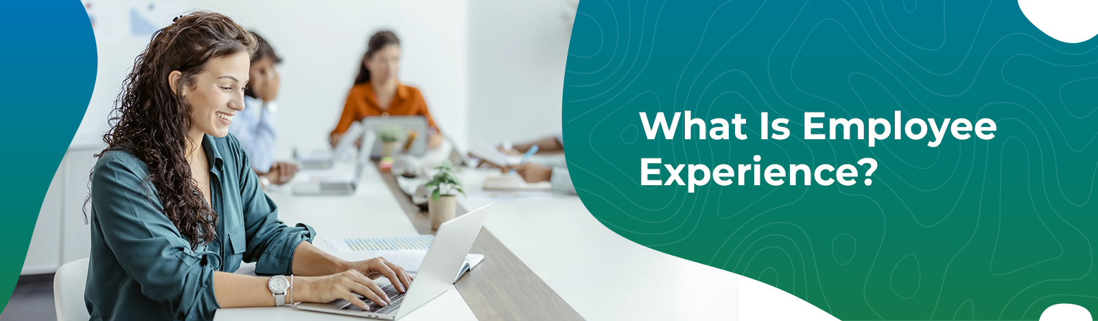 What Is Employee Experience? A Detailed Infographic