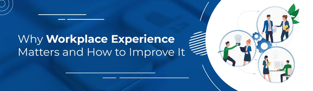 Why Workplace Experience Matters and How to Improve It